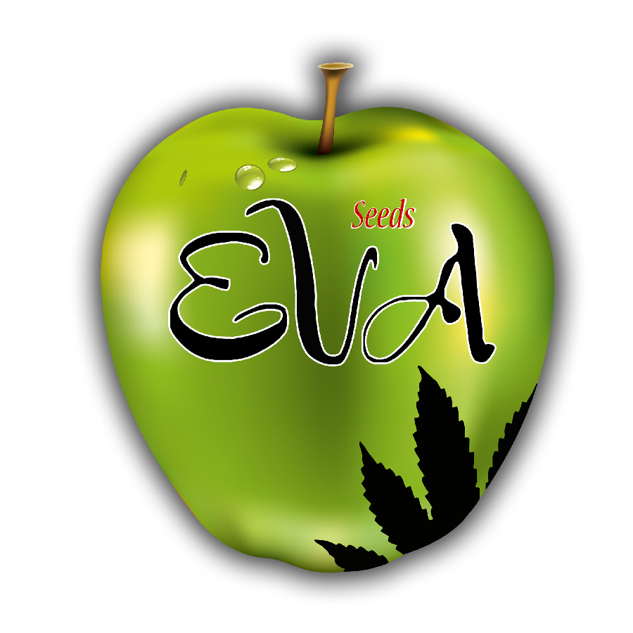Eva Seeds