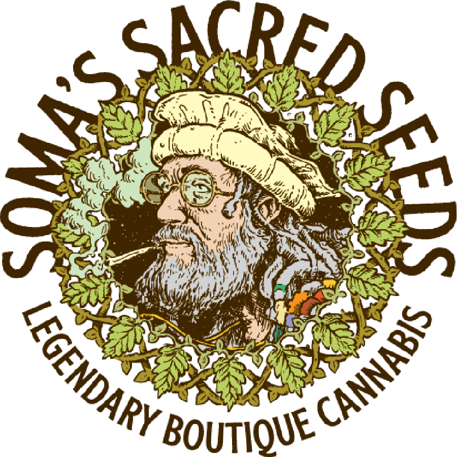 Soma Seeds